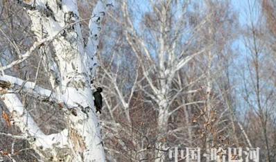 ���ͺ��س������������ɾ�